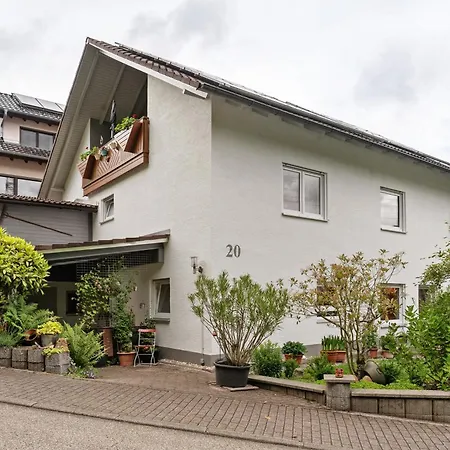 Apartman Zapf Forbach