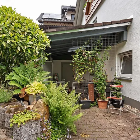 Apartment Zapf Forbach